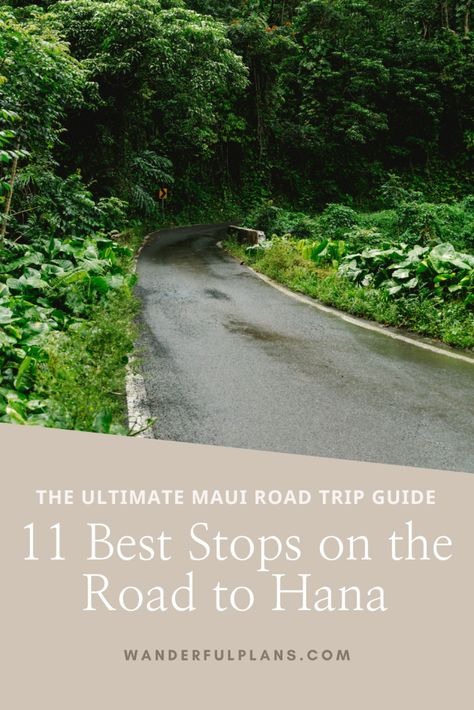 11 Best Stops on the Road to Hana in Maui - Wanderful Plans Road To Hana Maui Photos, Maui Bucket List, Road To Hana Stops, Road To Hana Maui, Rainbow Eucalyptus Tree, Maui Photos, Hana Highway, Rainbow Eucalyptus, Hana Maui