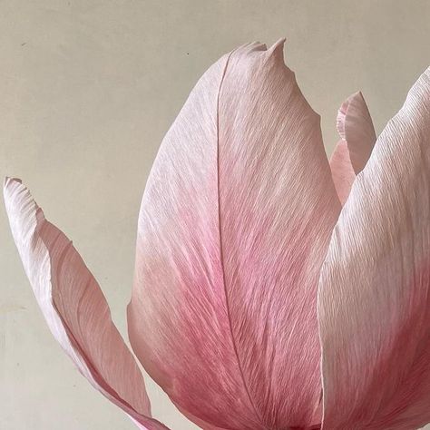 Petals of Dream - Paperukka on Instagram: "Giant Tulip🌷 
#kertasjadibunga 
-
Pretty petals made from @cartotecnicarossi’s 90 gsm crepe papers." Crepe Paper, Tulips, Wedding Decorations, On Instagram, Instagram