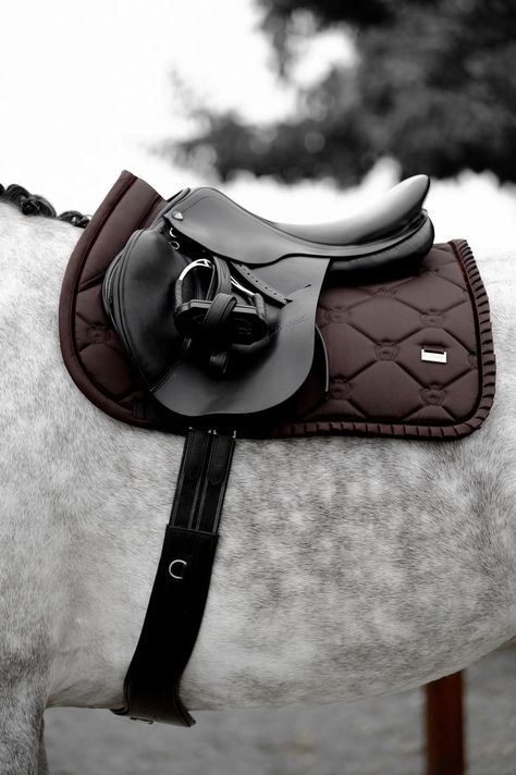 Hunter Jumper Aesthetic, Aesthetic Equestrian, Horse Trails, Horse Nutrition, English Horse Tack, Horse Behavior, Horse Riding Aesthetic, Horse Competition, Equestrian Photography