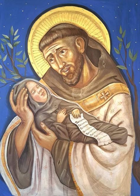 St Francis Assisi, Ecclesiastical Vestments, Catholic Artwork, Blessed Mother Mary, San Francesco, Francis Of Assisi, Holy Mary, Catholic Quotes, St Francis