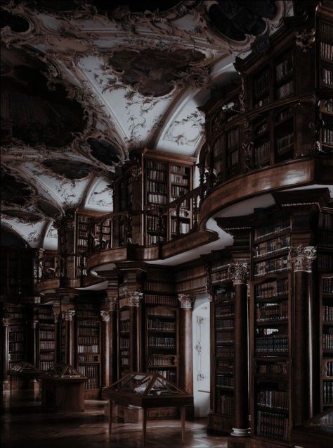 Dark Academia Library, Dorian Havilliard, Dark Castle, Dream Library, Beautiful Library, Castle Aesthetic, Fotografi Kota, Old Library, Library Aesthetic