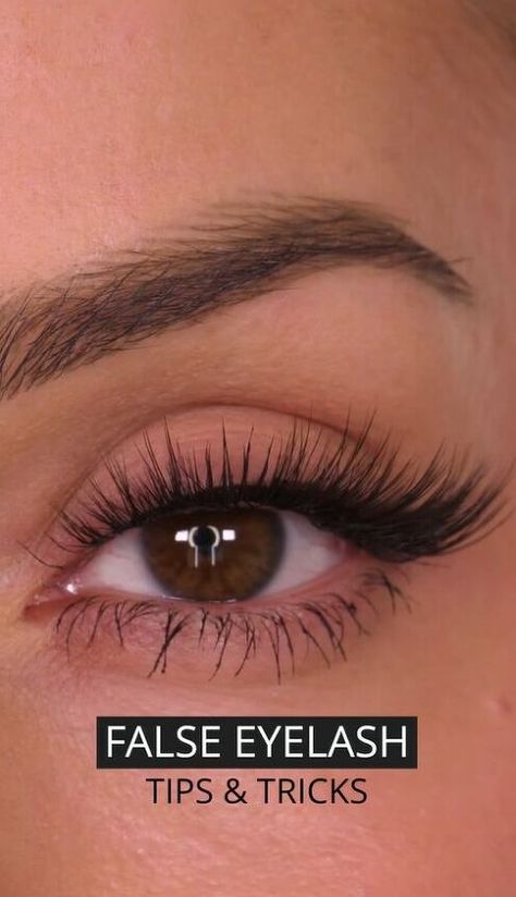 Follow along to learn how to apply false lashes with me! I’m going to share with you my most tried and true eyelash hacks to help you achieve stunning lashes. Tightlining Eyes, Eyelashes Tips, Eyelash Hacks, False Eyelashes Tips, Eyelashes How To Apply, Eyelash Application, Best False Lashes, Best False Eyelashes, Lash Tricks