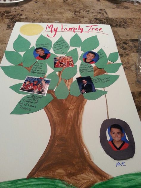 Family tree project Family Tree Ideas For Kids Project, Family Tree Project For Kids, Family Tree Ideas For Kids, Family Tree Kindergarten, Family Tree Ideas, Star Wars Christmas Tree, Family Tree For Kids, Trees For Kids, Kindergarten Projects