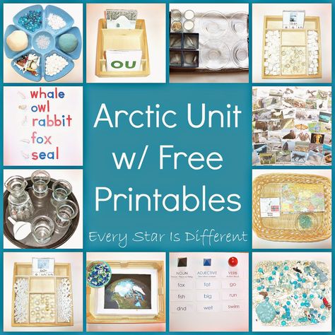 Every Star Is Different: Arctic Unit w/ Free Printables Tundra Biome, Free Printables For Kids, Montessori Geography, Montessori Printables, Winter Unit, The Continents, Snow Theme, 5 Oceans, Polar Animals