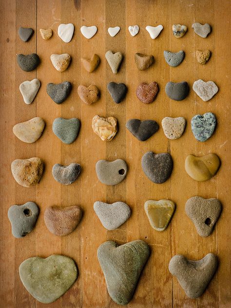 Heart Stones or Rocks Heart Stones, Deco Marine, Heart Shaped Rocks, Heart In Nature, Rock Hunting, Hag Stones, I Love Heart, Samana, Love Rocks