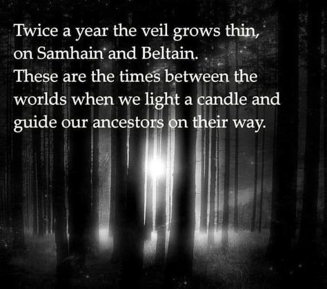 Hedge Witchery, Blessed Samhain, Fire Festival, Witch Quotes, Green Witchcraft, Wiccan Magic, Divine Feminine Spirituality, Witchy Wallpaper, Witchy Crafts