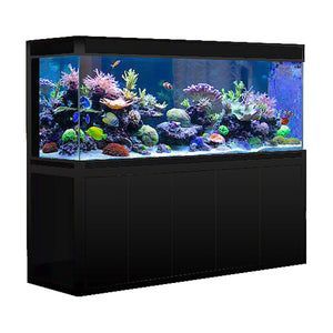 buy a black premium aquarium Glass Aquarium, Aquarium Setup, Aquarium Design, Submersible Pump, Aquarium Fish Tank, Aquascaping, Aquatic Plants, Light Covers, Aquarium Fish