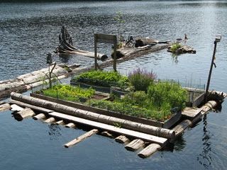 Floating Gardens, Christmas Banister, Floating Islands, Hydroponic Farming, Homestead Ideas, Floating Garden, Pond Ideas, Greenhouse Ideas, Urban Homesteading