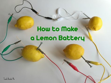 How to make a lemon battery- STEM science experiment Lemon Science Experiment, Lemon Experiment For Kids, Battery Experiments For Kids, Lemon Battery Science Project, Potato Battery Science Project, Potato Battery, Electricity Experiments, Smart Boys, Steam Technology