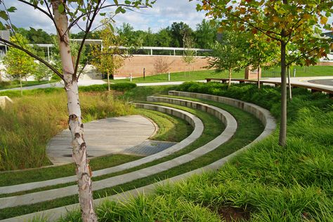 Amphitheater Architecture, Park Benches, Saitama Japan, Japan Landscape, Outdoor Theater, Landscape Features, Parking Design, Garden Bench, Urban Landscape