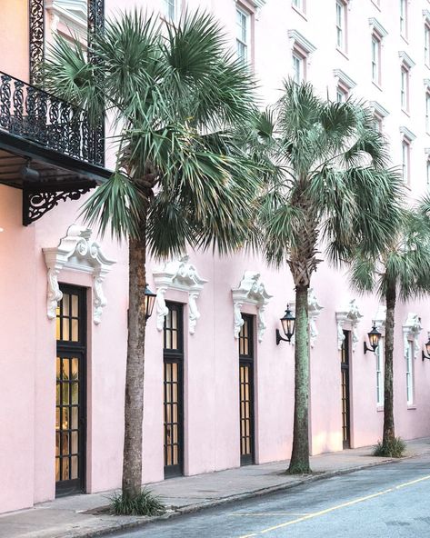 Still on my Charleston high from yesterday. The snow was pretty today but come on, these palms? 😍🌴 My hotel was right across the street, so this was my view every day. ❤️ #charleston #charlestonpalmetto #travelphotography South Carolina Photography, Urban Home Decor, Charleston Art, Decor Large Wall, Rainbow Row, Charleston South Carolina, Pink Walls, Magical Places, Color Photography