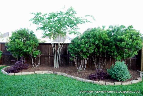 Wax Myrtle, Privacy Fence Landscaping, Landscaping Along Fence, Landscape Planning, Bed Idea, English Garden Design, Backyard Trees, Privacy Landscaping, Front Garden Design