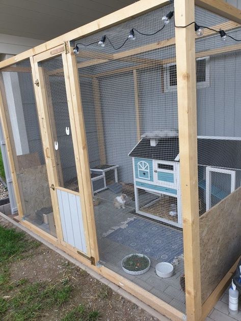 Bunnie Cages Outdoor, Outdoor Rabbit Pen Ideas, 2 Story Rabbit Cage, Bunny Hutch Diy Outdoor, Outdoor Bunny Habitat, Baby Rabbits Cute, Outdoor Rabbit Enclosure, Pet Bunny House, Wallpaper Rabbit