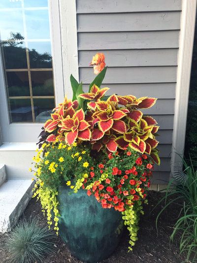 How She Did It: Huge Planters Overflow With Seasonal Color Patio Planter Ideas Plant Pots, Huge Planters, Patio Flower Pots, Potted Plants Patio, Front Porch Flowers, Summer Planter, Flower Pot Ideas, Patio Flowers, Porch Flowers