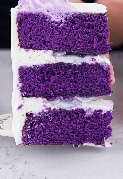 PURPLE VELVET CAKE Recipe:... - Grandma's Old Recipes Purple Velvet Cake, Purple Velvet Cakes, Bolo Red Velvet, Purple Food Coloring, Purple Cake, Velvet Cake Recipes, Purple Food, Purple Cakes, Vanilla Frosting