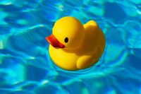 clean blue water Rubber Duck Drawing, Duck In Water, Yellow Rubber Duck, Lucky Ducky, Ducky Baby Showers, Ducky Baby Shower, 심플한 그림, Rubber Ducky Baby Shower, Drawn Fish