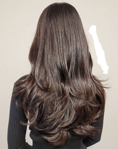 Hire Cuts Women, Hire Cut Women, Lairs Haircut, Brown Hair Inspo, Long Layered Haircuts, Hair Women, Hair Coloring, Hair Stylist Life, Haircuts For Long Hair