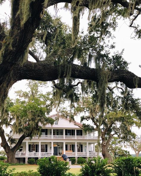 Low Country Homes Interior, Low Country Aesthetic, Louisiana Farmhouse, Low Country Style, Low Country Home, Low Country House, Louisiana House, Country Patio, Low Country Homes