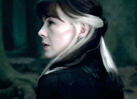 narcissa malfoy black & white hair Narcissa Malfoy Hair, Malfoy Hair, Harry Potter Narcissa, Narcissa Malfoy, Mom Hair, Hair Color Underneath, Athletic Hairstyles, Harry Potter Characters, Hair Inspiration Color