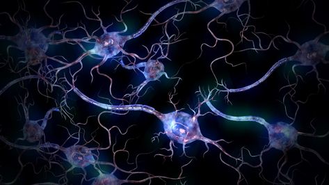 Neurons Nerve Aesthetic, Full Hd Love Wallpaper, Neurons Wallpaper, System Wallpaper, Bridge Wallpaper, Love Wallpaper Download, Science Articles, Galaxy Background, Trippy Wallpaper