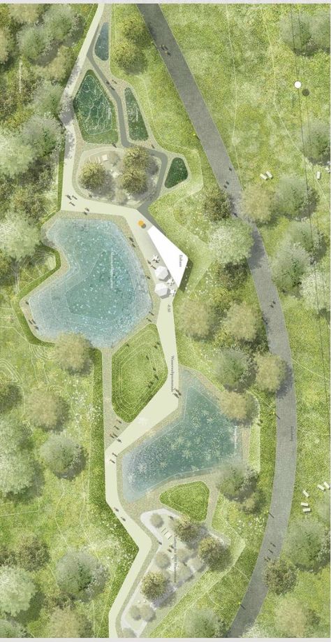 Landscape Architecture Plan Rendering, Wetlands Architecture, Landscape Plan Architecture, Landscape Architecture Plan Drawing, Landscape Design Masterplan, Masterplan Landscape, Landscape Master Plan, Croquis Architecture, Masterplan Architecture