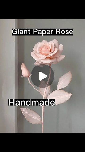 Liquor Decoration Design on Instagram: "Let's make giant rose by paper！ #🌹 #tutorial #floral #flowers #rose #paperflower #paperroses" Crepe Paper Rose, Giant Paper Flower Tutorial, Paper Roses Diy, Giant Paper Roses, Crepe Paper Roses, Giant Roses, Rose Tutorial, Fairy Party, Paper Rose