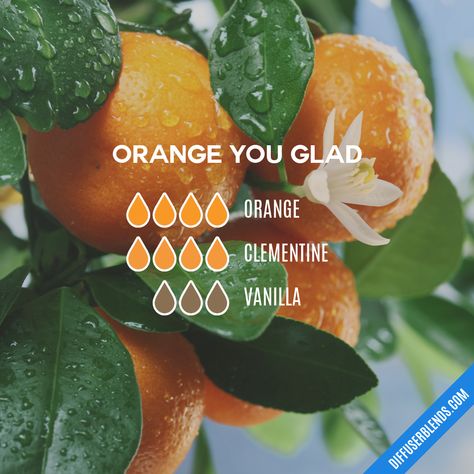 Orange Diffuser Blends, Orange Essential Oil Blends, Petitgrain Essential Oil, Marjoram Essential Oil, Roman Chamomile Essential Oil, Vetiver Essential Oil, Doterra Essential Oils Recipes, Essential Oil Diffuser Blends Recipes, Young Living Essential Oils Recipes