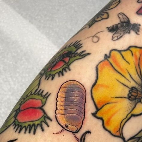 Anke 🍋 on Instagram: "It’s ✨isopod summer✨ thank you @1strawhatberry for letting me tattoo these, I can rest now. 😭" Leaf Bug Tattoo, Bug Finger Tattoo, Pillbug Tattoo, Rollie Pollie Tattoo, Weevil Tattoo, Cute Bug Tattoo, Isopod Drawing, Insect Tattoo Ideas, Millipede Tattoo