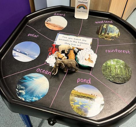 Eyfs Outside Provision, Understanding The World Eyfs, Eyfs Nursery Classroom, Science Eyfs Activities, Animal Tuff Tray Ideas Eyfs, Utw Eyfs Activities, Animals Eyfs Activities, Science Early Years, Eyfs Understanding The World Activities