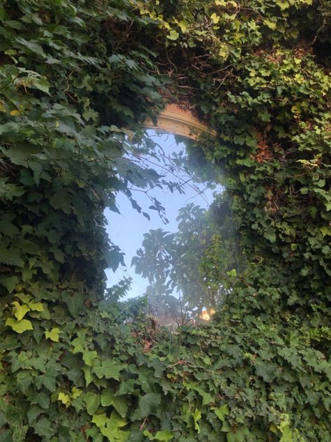 Mirror hanged in a wall with grass growing all around it Fairy Core Mirror, Mirror In Nature, Mirror In Forest, Ruin Aesthetic, Hozier Vibes, Mirror Forest, Mirror Portal, Plant Mirror, Fairy Mirror