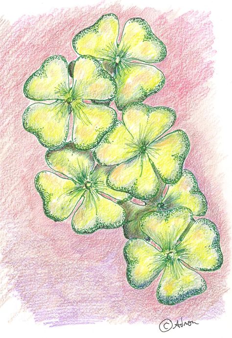 Clover Leaf Art, Four Leaf Clover Drawing, Clover Painting, Artist Garden, Saint Patricks Day Art, Concept Art Tutorial, Sketching Techniques, Leaf Drawing, Art Plaque