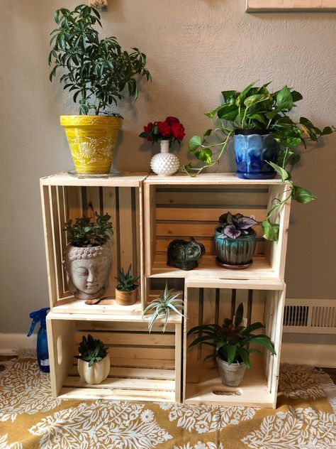 DIY Plant Stand Wooden Crate Crate Plant Stand, Plant Stand Ideas, Indoor Plants Diy, Industrial Plant, Copper Plant, Black Plant, Century Plant, Tall Plant, Trendy Plants