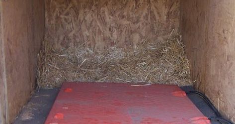 It's winter out and you want to know how to keep your pig warm and safe from the elements. The outside pig needs a shelter out of the elemen... Pet Pig House, Mangalitsa Pig, Pig Shelter, Pet Pig, Moving Blankets, Pig Stuff, Winter Tips, Pot Belly Pigs, Pot Belly