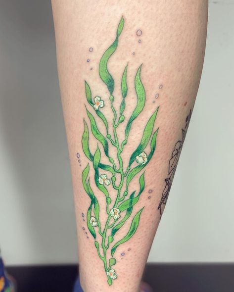 Sea Foam Tattoo, Sea Grass Tattoo, Kelp Tattoo, Seaweed Tattoo, Aquatic Tattoo, Coral Tattoo, Underwater Tattoo, Crab Tattoo, Green Tattoos