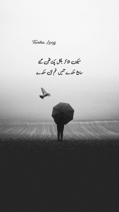 Saraiki poetry Urdu poetry Saraki Poetry, Saraiki Culture, Saraiki Poetry, Punjabi Aesthetic, Poetry Friendship, Punjab Culture, Photo Album Layout, Album Layout, Burning Desire