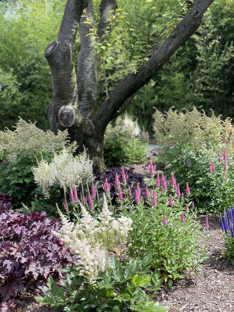 Full Sun Perennials — 7 Plants for Your Yard's Sunny Spots | Livingetc Full Sun Border Garden, Morning Sun Garden Ideas, Front Yard Landscaping Ideas Full Sun, Morning Sun Flower Bed Ideas, Full Sun Hillside Landscaping, Full Sun Cottage Garden, Nandina Landscaping Front Yards, Zone 7b Landscaping, Perrenial Gardens Layout Full Sun