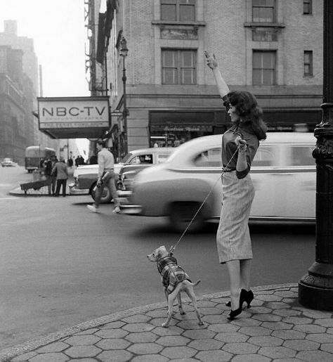 Old Nyc, Vintage Nyc, New York Vintage, Vivian Maier, Old New York, I'm With The Band, Vintage New York, New York Street, Bw Photo