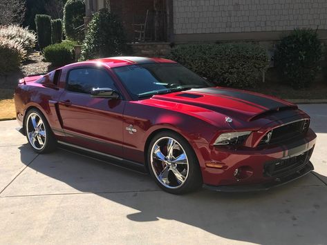 Nice Great 2014 Ford Mustang Shelby GT500 2014 Shelby GT500 2017/2018 Check more at http://24auto.cf/2017/great-2014-ford-mustang-shelby-gt500-2014-shelby-gt500-20172018/ 2014 Gt500, 2014 Shelby Gt500, Mustang 2014, Mustang Shelby Cobra, 2014 Mustang, Ford Mustang Cobra, 2014 Ford Mustang, Ford Mustang Shelby Gt500, Mustang Cobra