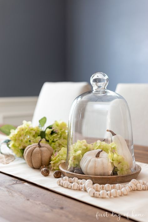 Learn how to create a fall centerpiece for your dining table with a few simple elements. Use a glass cloche to create a statement, and make your own baby boo white pumpkins to showcase. Add green hydrangeas and natural acorns or pinecones for accents. Twinkle Lights Decor, Fall Cloche, Decorating With Pumpkins, Decoupage Pumpkins, Diy Centerpiece, Easy Diy Ideas, Holiday Table Centerpieces, Fall Table Centerpieces, Pumpkin Display