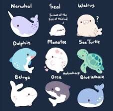 Chibi Ocean Animals, Cute Sea Animals Drawing, Cute Jellyfish, Cute Kawaii Animals, Cute Animal Drawings Kawaii, Art Manga, 캐릭터 드로잉, Cute Kawaii Drawings, Cute Cartoon Drawings