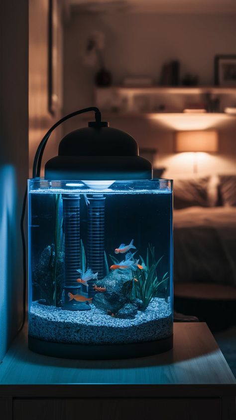 Light it up: LEDs for the win Unique Fish Tanks, Mini Fish Tank, Aquarium Mini, Fish Tank Design, Aquarium Light, Aquarium Lighting, Night Fishing, Light Night, Tank Design