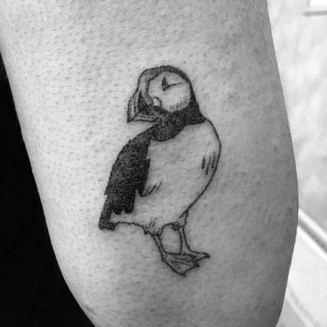 Puffin Tattoo Simple, Iceland Tattoo Ideas, Puffin Tattoo, Ak Tattoo, Iceland Tattoo, Puffin Illustration, Puffin Rock, Island Tattoo, Koi Tattoo Design