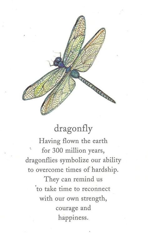 I looked into the meaning of this beautiful creature and I found many beautiful meanings. The meaning that I hold onto is the one that says that if a dragonfly appears to you it's a sign that you are letting go and that you are finding your first step to spiritual expansion.: Strength And Overcoming Tattoos, Symbols For Compassion, Dragonfly Tatoos, Dragonfly Meaning, Dragonfly Quotes, Healing Prayers, Tattoo Thoughts, Support Encouragement, Inspirerende Ord