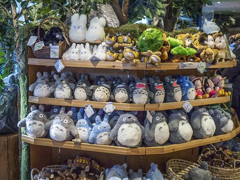 Donguri Kyowakoku, the store with nothing but Studio Ghibli anime ... Studio Ghibli Store Japan, Ghibli Store Japan, Studio Ghibli Merchandise, Studio Ghibli Stuff, Studio Ghibli Store, Ghibli Merchandise, Studio Ghibli Japan, Studio Ghibli Toys, Ghibli Store