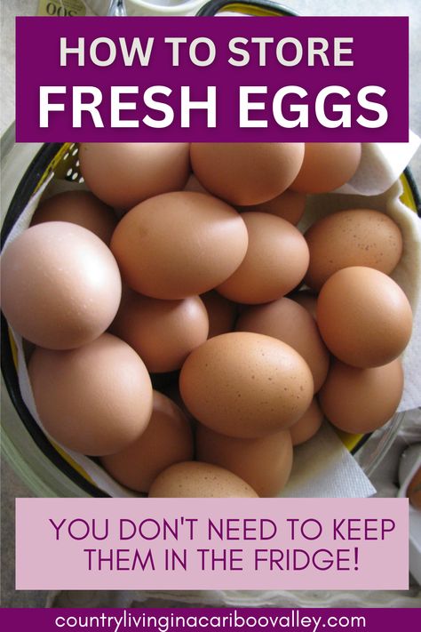 How To Store Eggs, Storing Eggs On Counter, How To Store Eggs Long Term, Farm Fresh Eggs Storing, Fresh Eggs Storage, Eggs On Counter, Storing Fresh Eggs, How To Freeze Eggs, Glassing Eggs