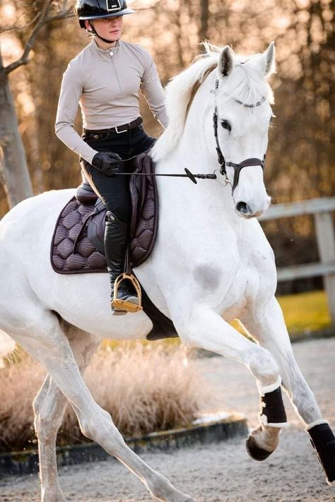 White Horse Jumping, Show Jumping Aesthetic, Jumping Aesthetic, Horse Saddle Pad, Jump Saddle, Gray Horse, Horse Story, Horse Saddle Pads, Unique Quote