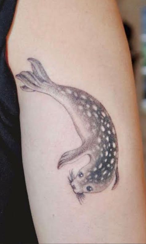 Sea Lion Tattoo, Harp Seal Pup, Lion Tattoo Ideas, Seal Tattoo, Marine Tattoo, Leopard Seal, Seal Pup, North And South, Lion Tattoo