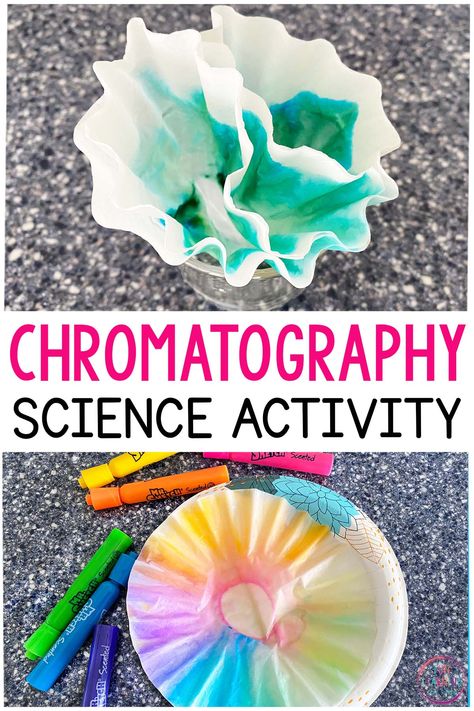 Coffee Filter Flowers - Chromatography Science Experiment for Kids Lava Lamp Experiment, Kindergarten Science Experiments, Chromatography For Kids, Science Experiment For Kids, Science Experiments For Kids, Preschool Science Activities, Experiment For Kids, Coffee Filter Flowers, Experiments For Kids