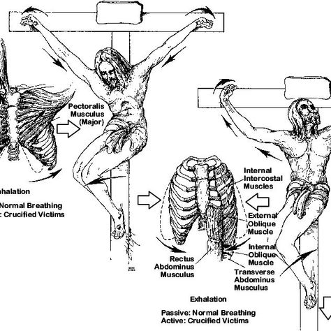 Jesus Of Nazareth, Scientific Diagram, Jesus Sacrifice, Crucifixion Of Jesus, Diagram Design, How He Loves Us, Historical Pictures, Jesus On The Cross, Jesus Is