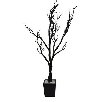 Ebern Designs Floor Manzanita Tree in Planter Colour: Black, Size: 48" H x 18" W x 18" D Yard Office, Tree In Planter, Festival Garden, Office Rooms, Centerpiece Party, Manzanita Tree, Golden Bamboo, Tree In Pot, Decor Centerpieces